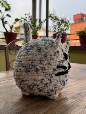 Therapy Cat
