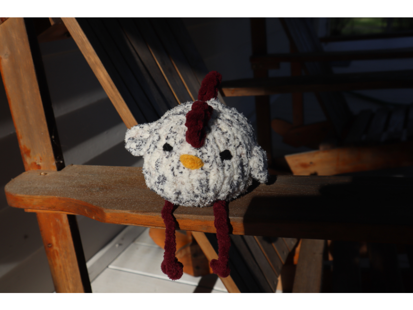 Chicken Friend