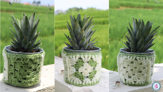 Granny Square Plant Pot Cozy - A Beginner Crochet Project with Big Possibilities