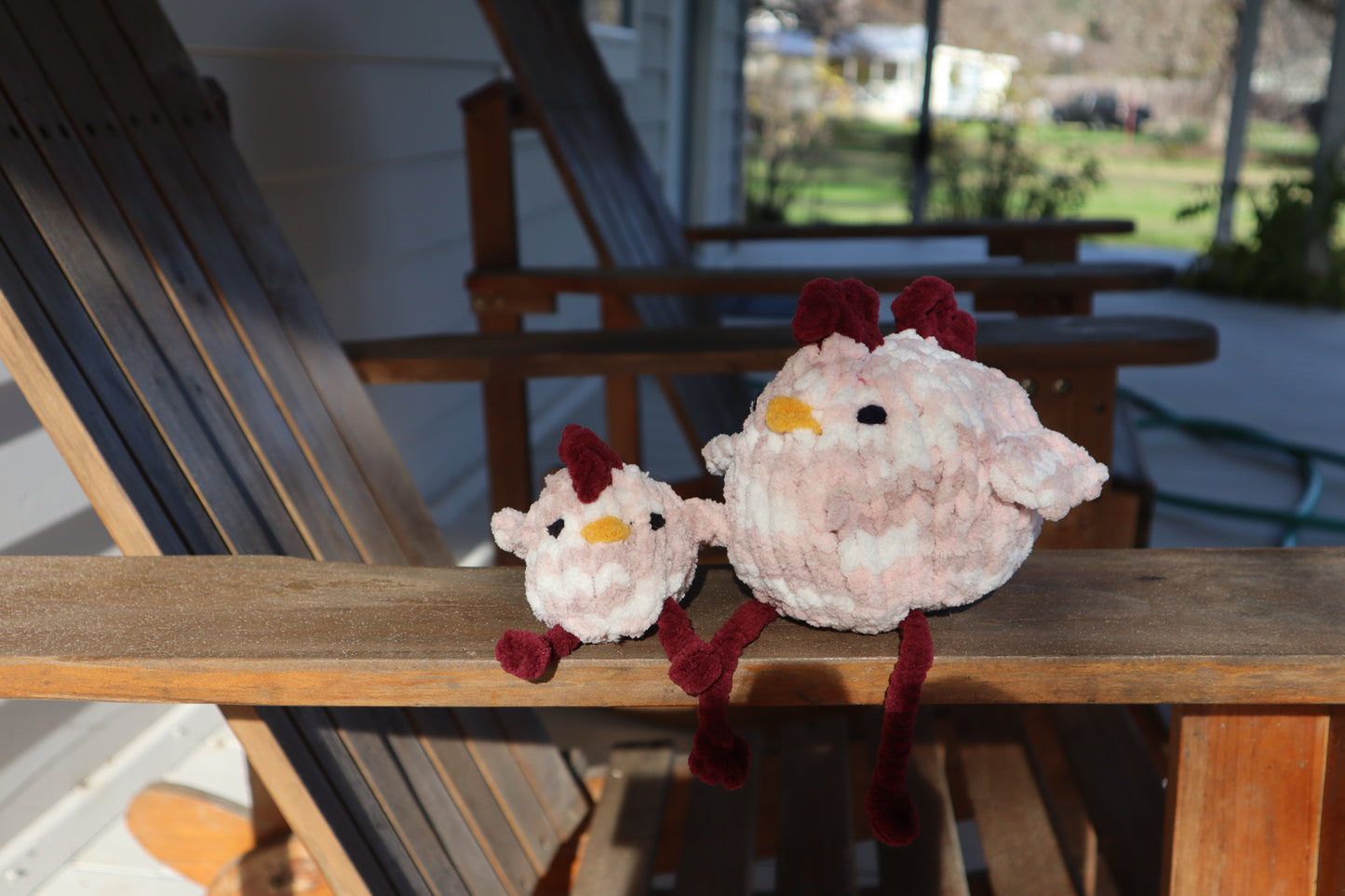 Chicken Friend