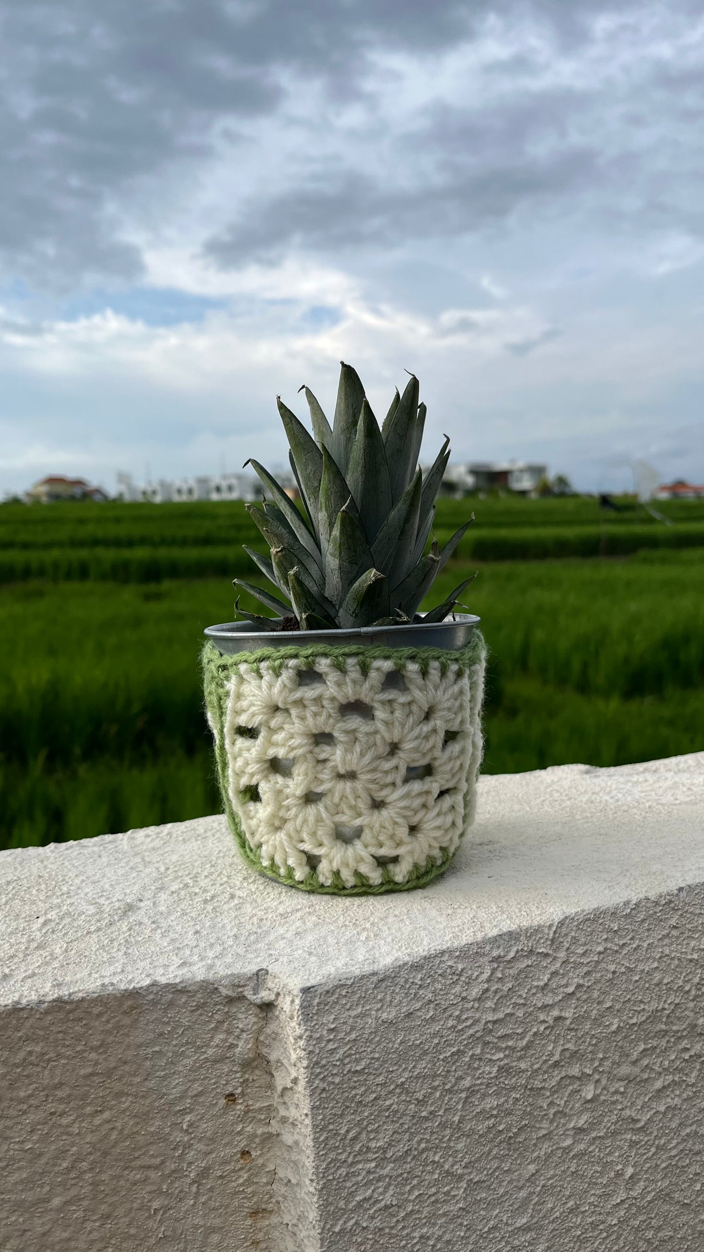 Granny Square Plant Pot Cozy – Beginner Crochet Pattern (Stash Yarn Project)