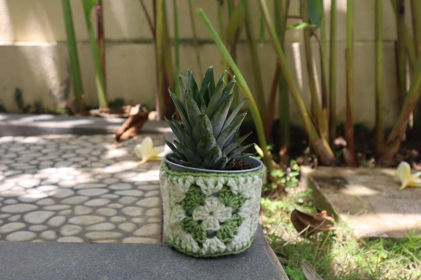 Granny Square Plant Pot Cozy – Beginner Crochet Pattern (Stash Yarn Project)