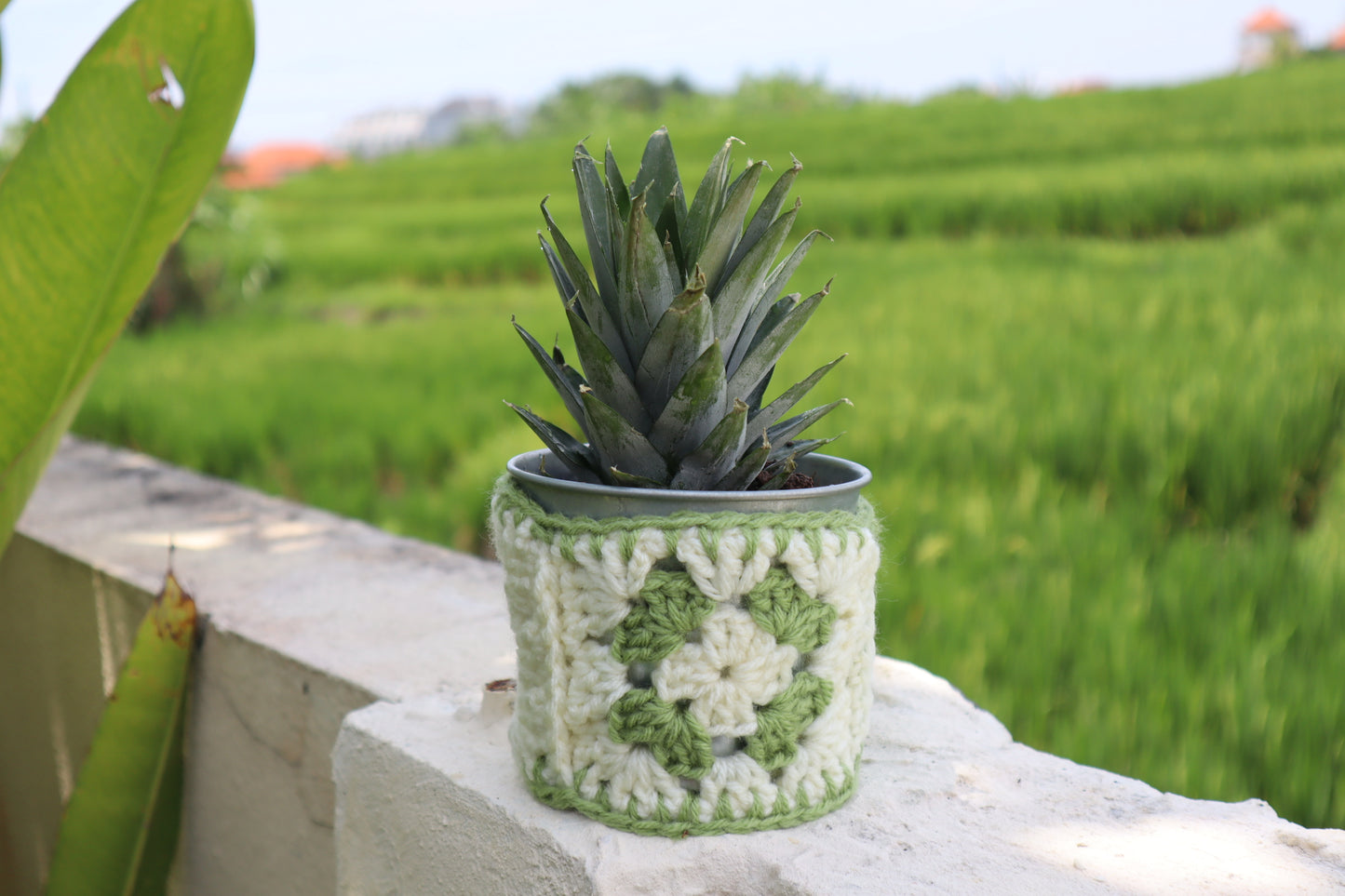 Granny Square Plant Pot Cozy – Beginner Crochet Pattern (Stash Yarn Project)