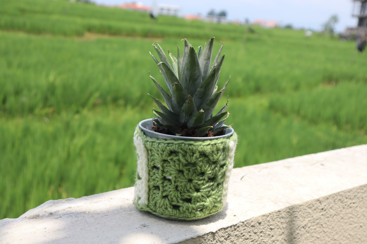 Granny Square Plant Pot Cozy – Beginner Crochet Pattern (Stash Yarn Project)