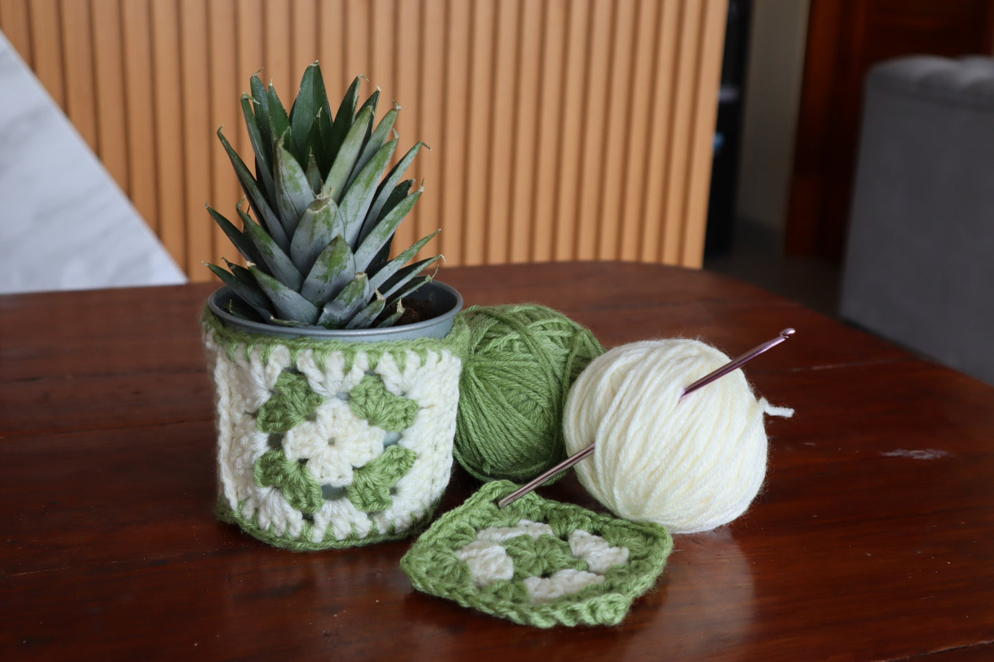 Granny Square Plant Pot Cozy – Beginner Crochet Pattern (Stash Yarn Project)