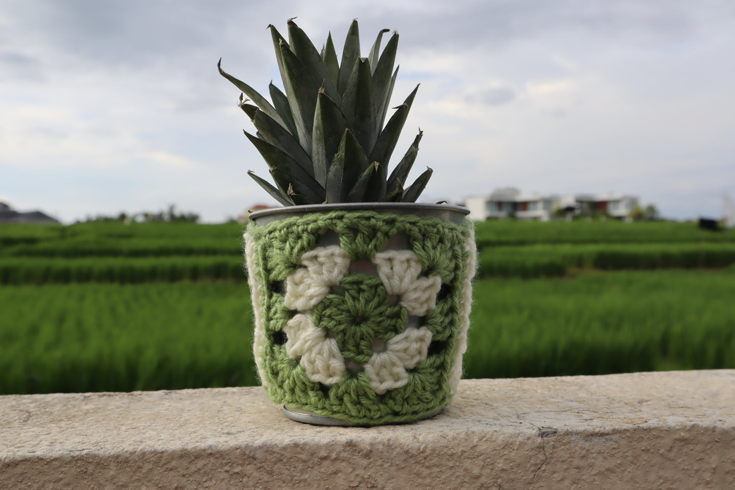 Granny Square Plant Pot Cozy – Beginner Crochet Pattern (Stash Yarn Project)
